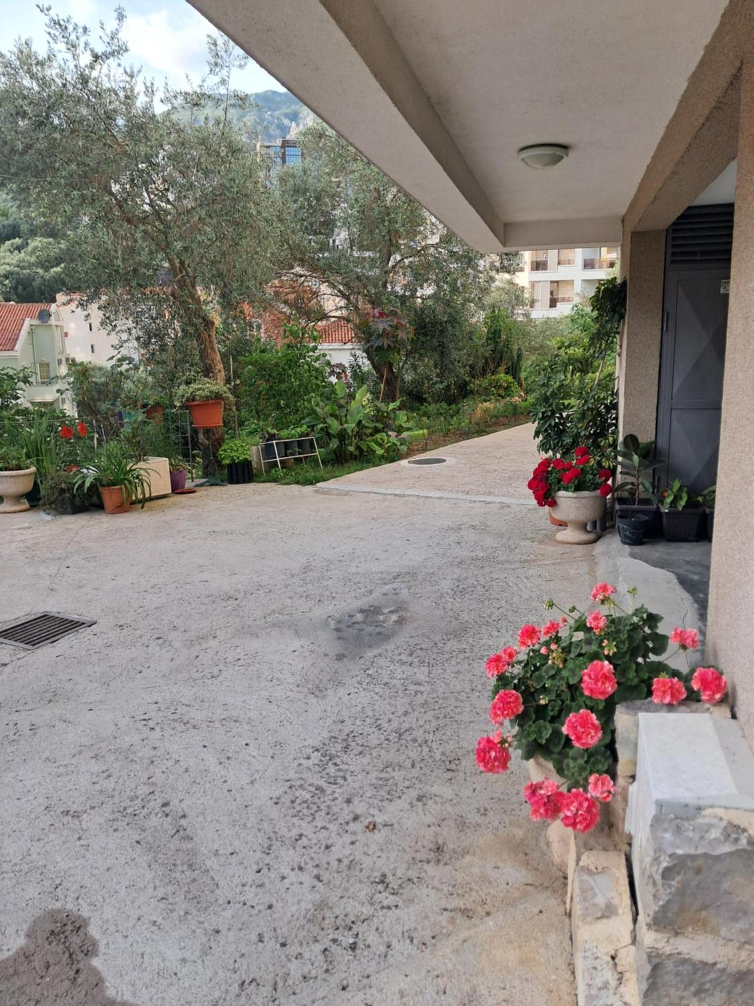 Apartman Verica Рафаиловичи Экстерьер фото
