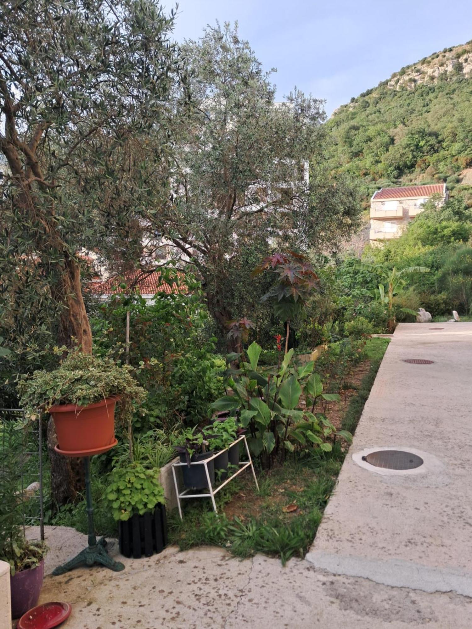 Apartman Verica Рафаиловичи Номер фото
